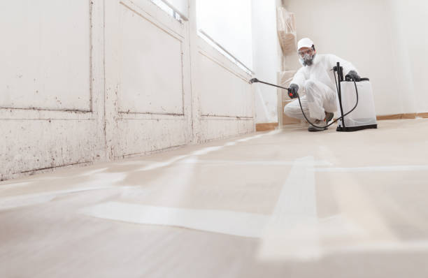 24/7 Emergency Mold Removal experts in Hopewell, VA